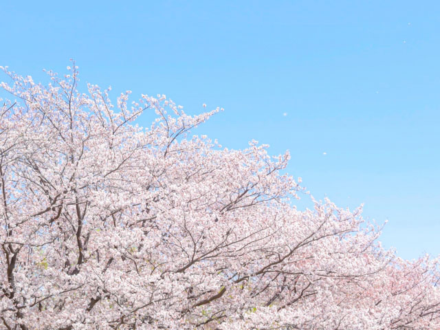 こんな時代だからこそ